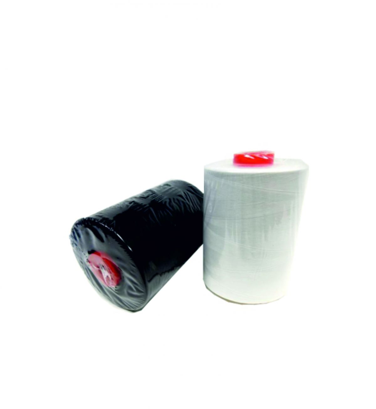SOTTOSPOLA CONO
